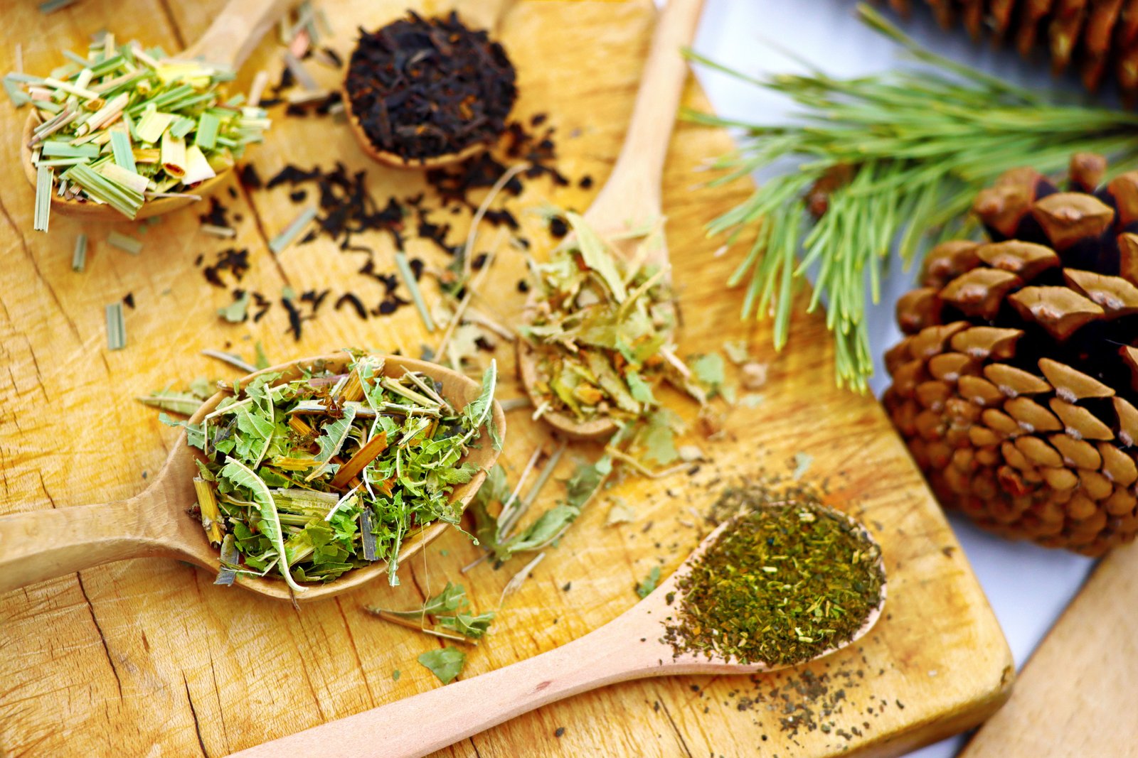 A rich selection of aromatic spices